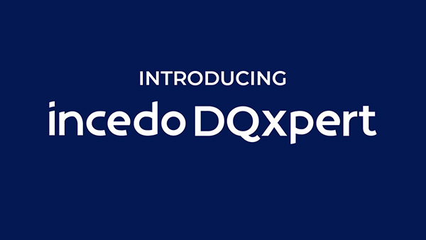 incedo dqxpert demo screen